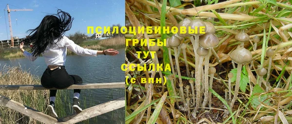 гашик Армянск